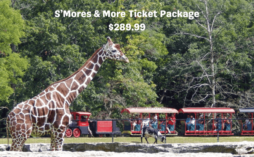 S’mores & More Ticket Package