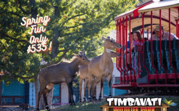 Spring Fun Package